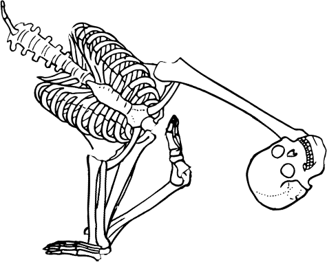 Dem bones dem bones dem – dry bones!