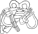 Dem bones dem bones dem – dry bones!