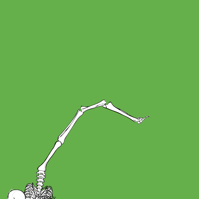 Dem bones dem bones dem – dry bones!