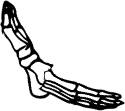 Dem bones dem bones dem – dry bones!