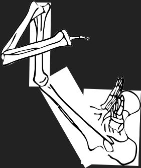 Dem bones dem bones dem – dry bones!