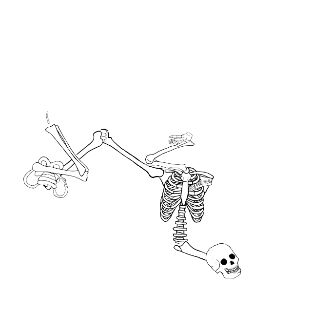 Dem bones dem bones dem – dry bones!