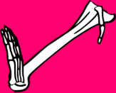 Dem bones dem bones dem – dry bones!