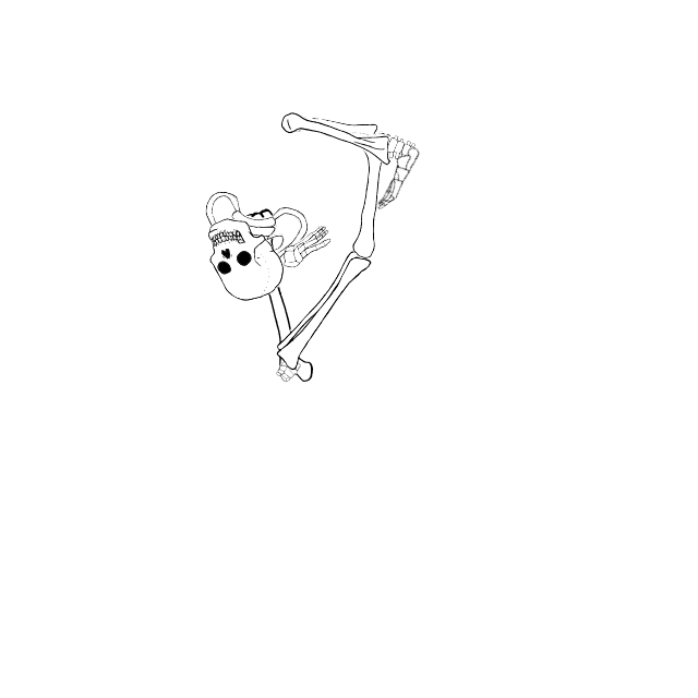 Dem bones dem bones dem – dry bones!