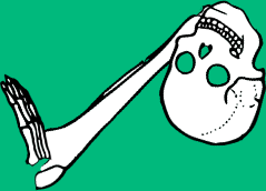 Dem bones dem bones dem – dry bones!