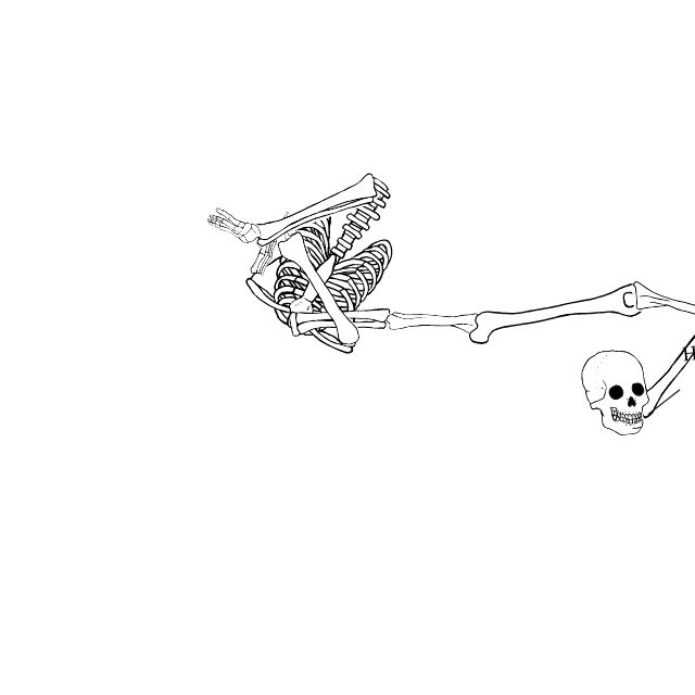 Dem bones dem bones dem – dry bones!