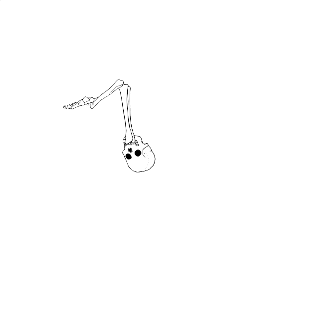 Dem bones dem bones dem – dry bones!