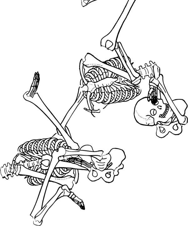 Dem bones dem bones dem – dry bones! Dem bones dem bones dem – extra bones!