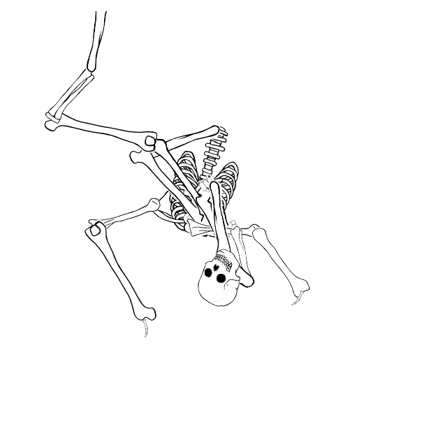 Dem bones dem bones dem – dry bones!