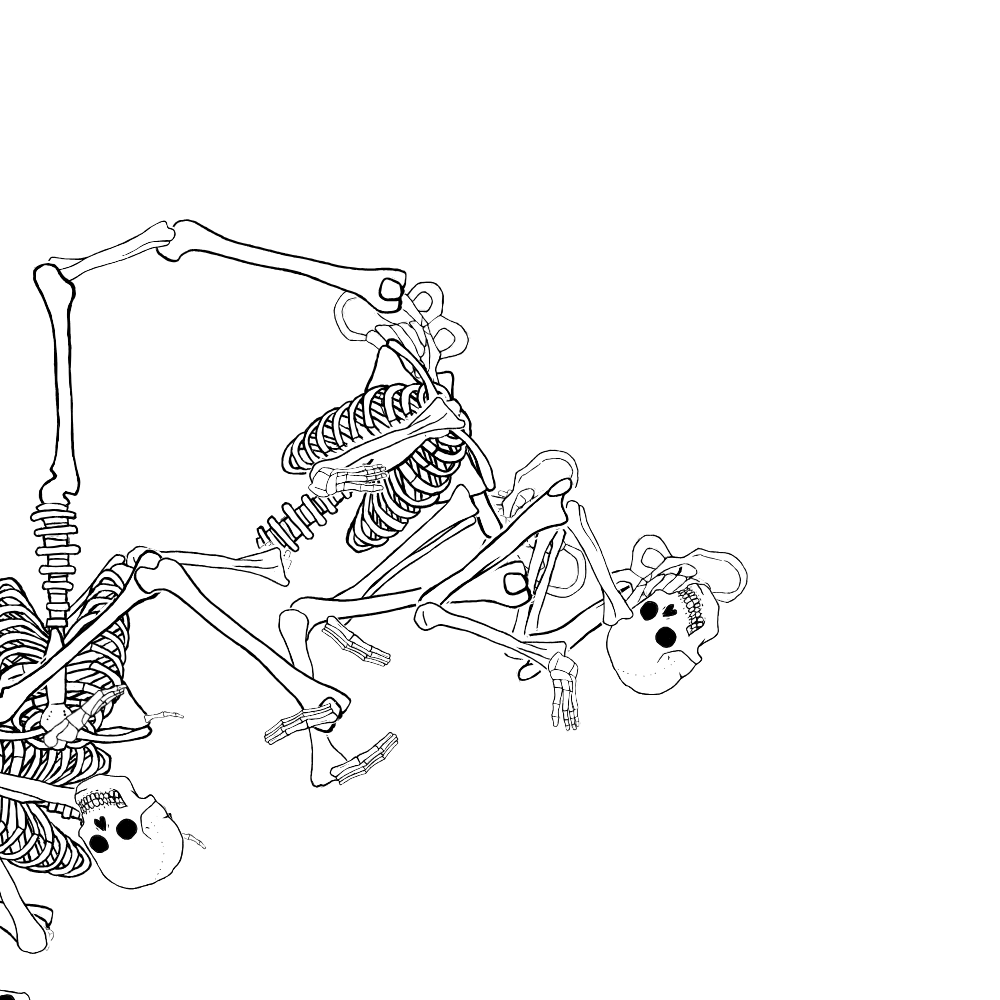 Dem bones dem bones dem – dry bones!