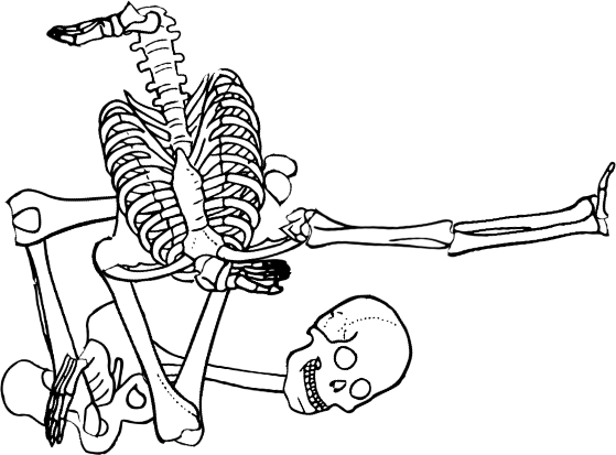 Dem bones dem bones dem – dry bones!