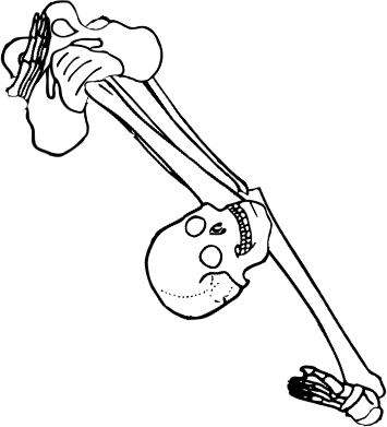 Dem bones dem bones dem – dry bones!