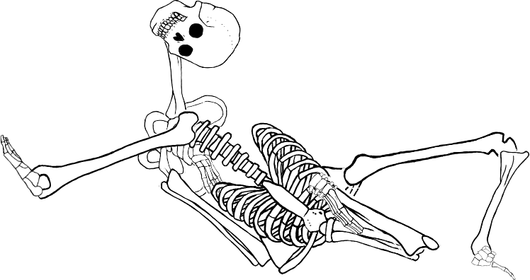 Dem bones dem bones dem – dry bones!