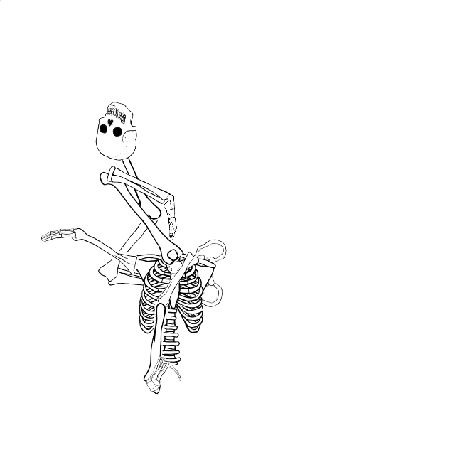 Dem bones dem bones dem – dry bones!