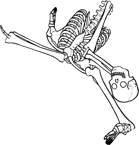 Dem bones dem bones dem – dry bones!