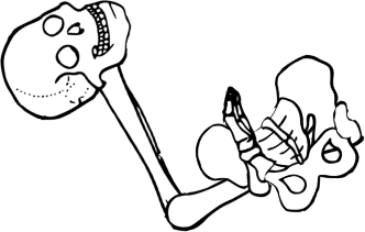 Dem bones dem bones dem – dry bones!