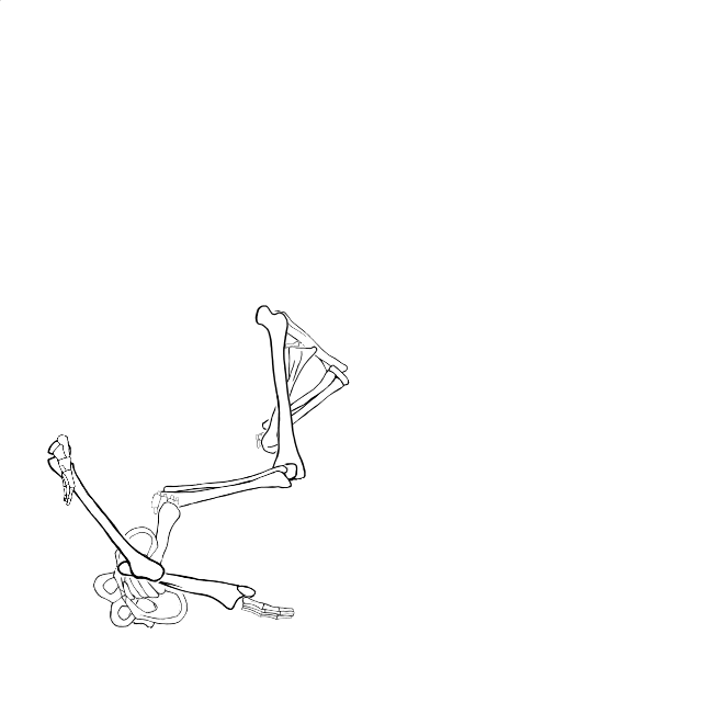 Dem bones dem bones dem – dry bones!