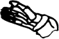 Dem bones dem bones dem – dry bones! Dem bones dem bones dem – extra bones!