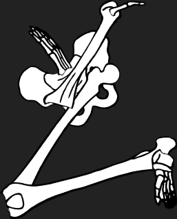 Dem bones dem bones dem – dry bones!