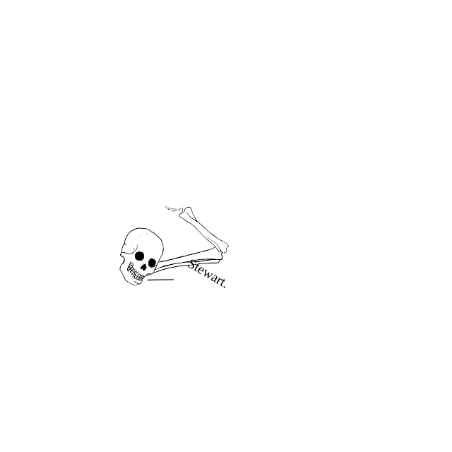 Dem bones dem bones dem – dry bones!