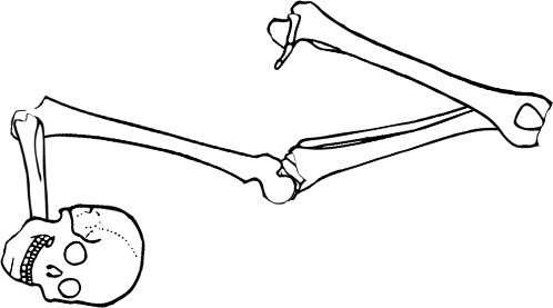 Dem bones dem bones dem – dry bones!