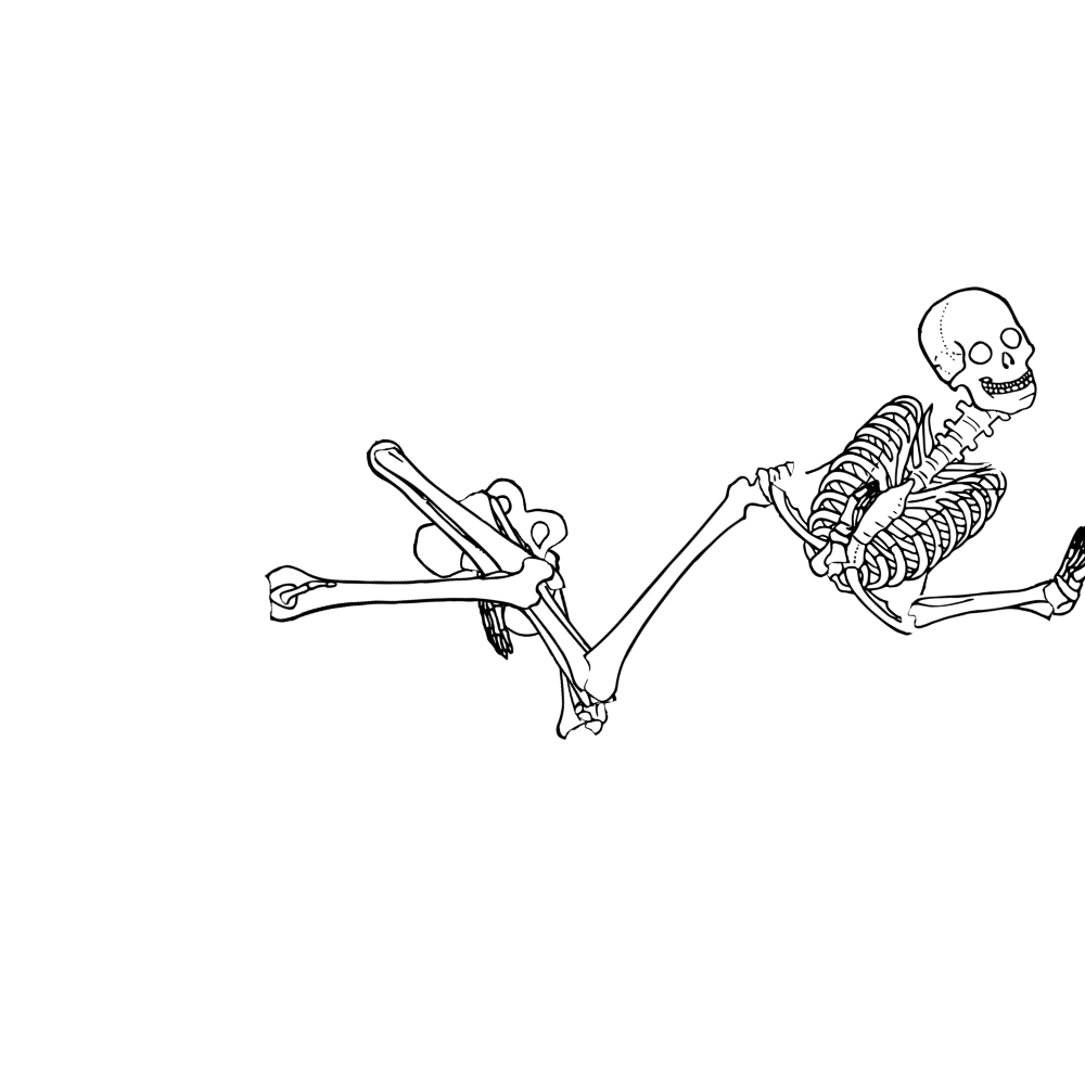Dem bones dem bones dem – dry bones!