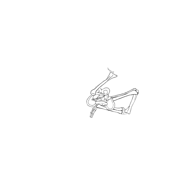 Dem bones dem bones dem – dry bones!