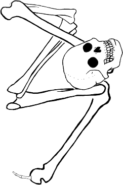Dem bones dem bones dem – dry bones!