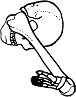 Dem bones dem bones dem – dry bones!