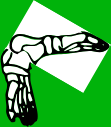 Dem bones dem bones dem – dry bones!