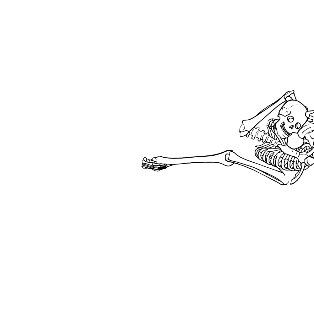 Dem bones dem bones dem – dry bones!