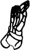 Dem bones dem bones dem – dry bones!
