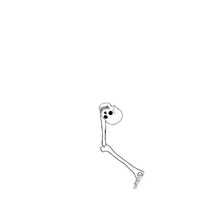 Dem bones dem bones dem – dry bones!