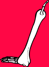 Dem bones dem bones dem – dry bones!