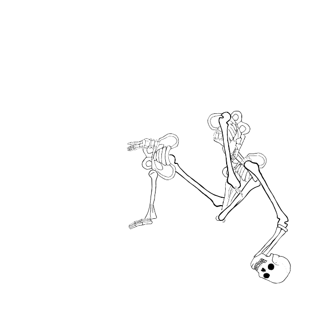 Dem bones dem bones dem – dry bones!