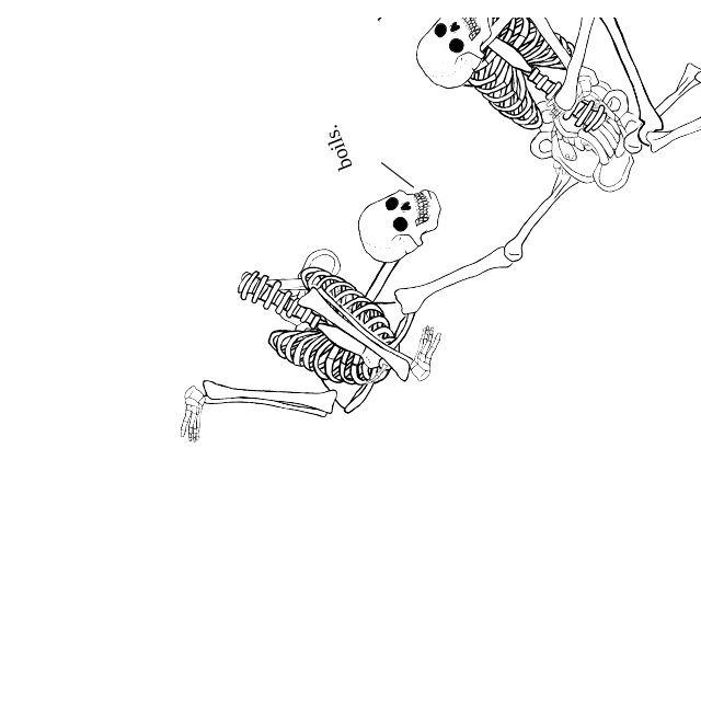 Dem bones dem bones dem – dry bones!
