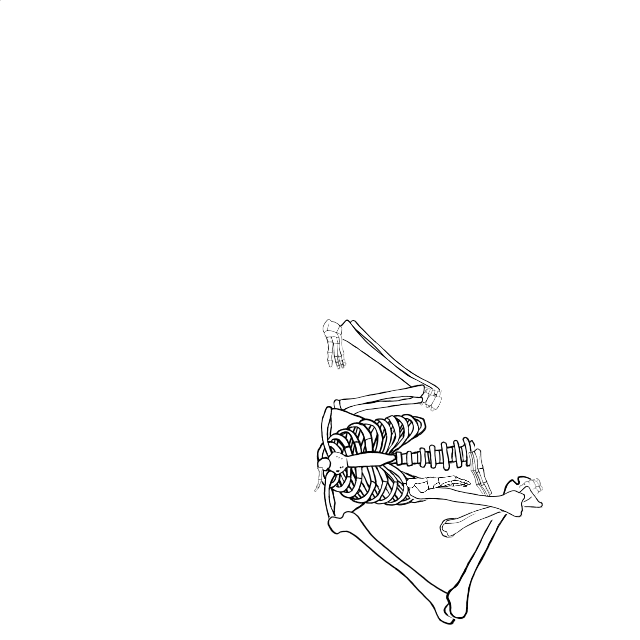 Dem bones dem bones dem – dry bones!