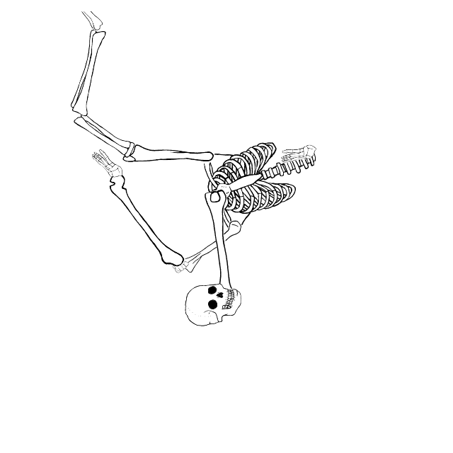 Dem bones dem bones dem – dry bones!
