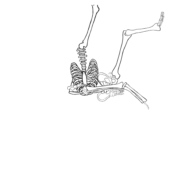 Dem bones dem bones dem – dry bones!