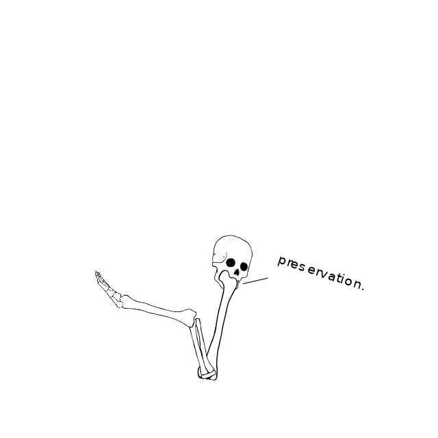 Dem bones dem bones dem – dry bones!