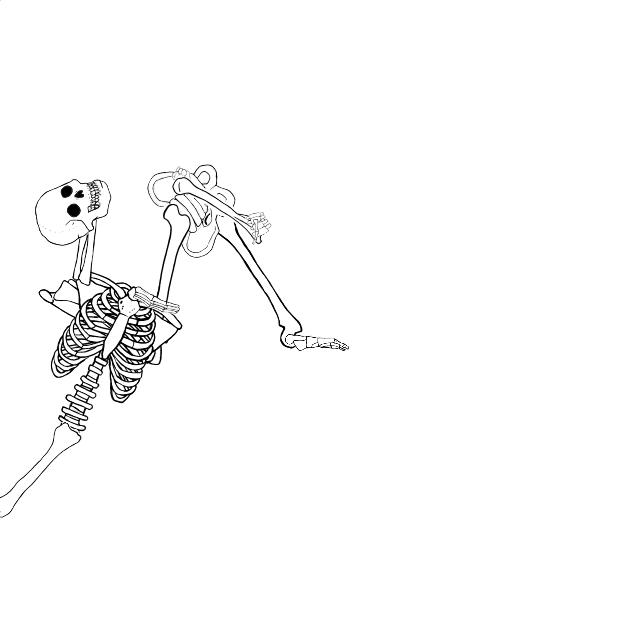 Dem bones dem bones dem – dry bones!