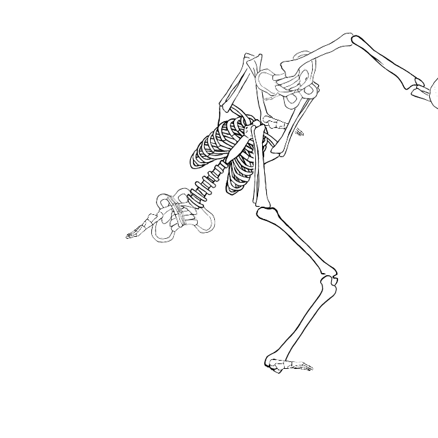 Dem bones dem bones dem – dry bones!