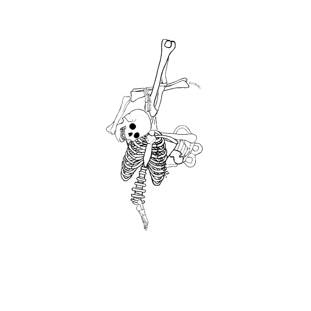 Dem bones dem bones dem – dry bones!