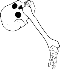 Dem bones dem bones dem – dry bones!