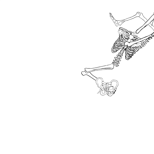 Dem bones dem bones dem – dry bones!