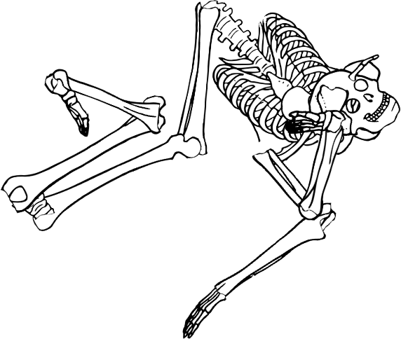 Dem bones dem bones dem – dry bones!