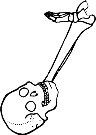 Dem bones dem bones dem – dry bones!