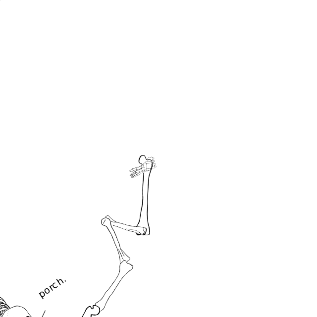 Dem bones dem bones dem – dry bones!