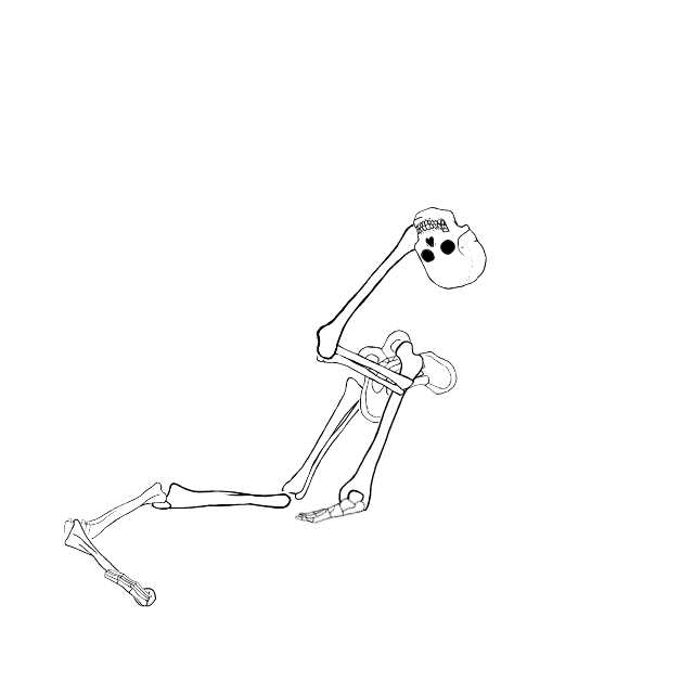 Dem bones dem bones dem – dry bones!