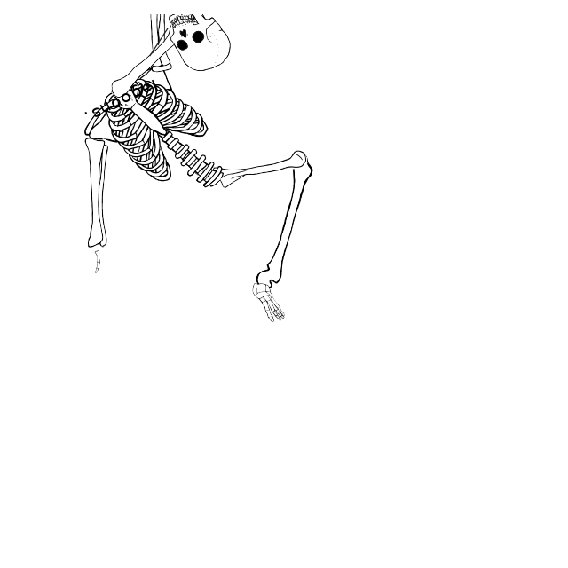 Dem bones dem bones dem – dry bones!
